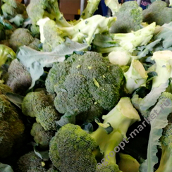 СТИЛ F1 семена капусты брокколи (Seminis | Alexagro)