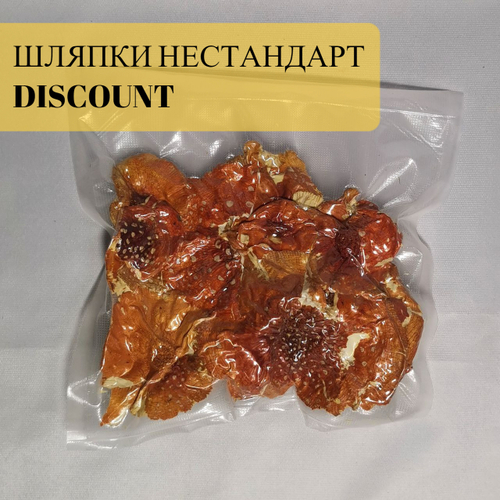 Мухомор красный шляпки нестандарт 2024