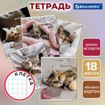 Тетрадь 18л, клетка, Brauberg Котята, в ассортименте, 1шт.