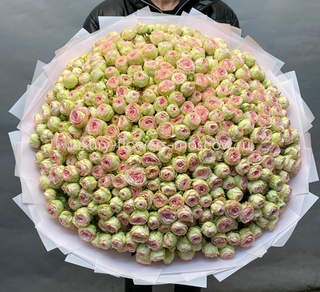 201 кустовая пионовидная роза кения