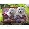 Puzzle Traveling Pups            100pcs