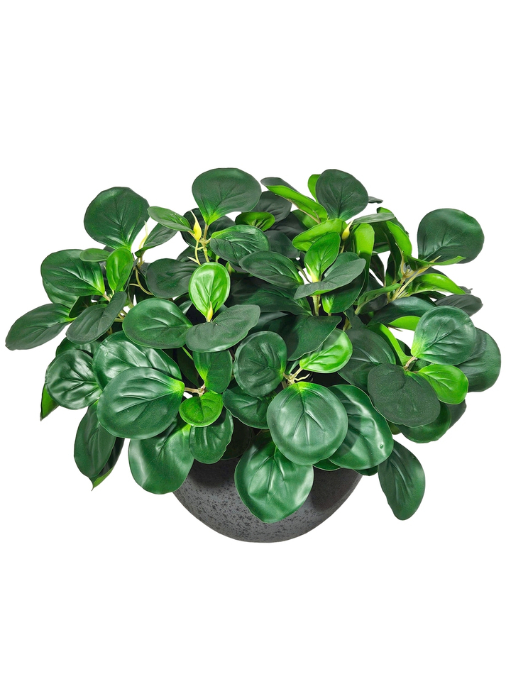 Пеперомия искусственная зеленая 35см в кашпо Лофт