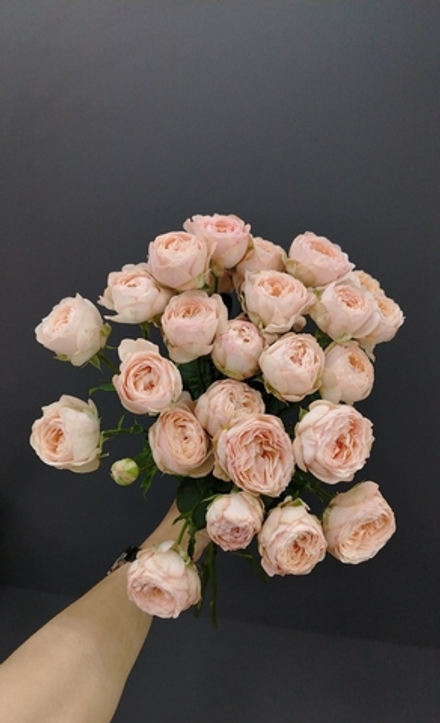 Букет из 7 кустовых роз в упаковке