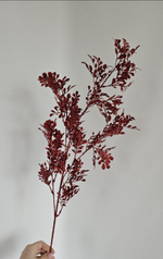 Самшит цветной / Арт 1281