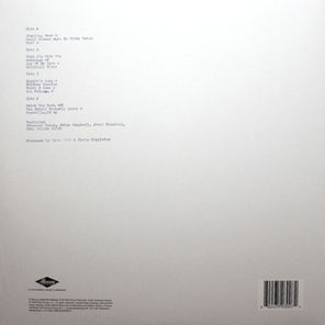 Chris Stapleton / Starting Over (2LP)