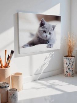 Картина на стену 40 X 50 Котенок