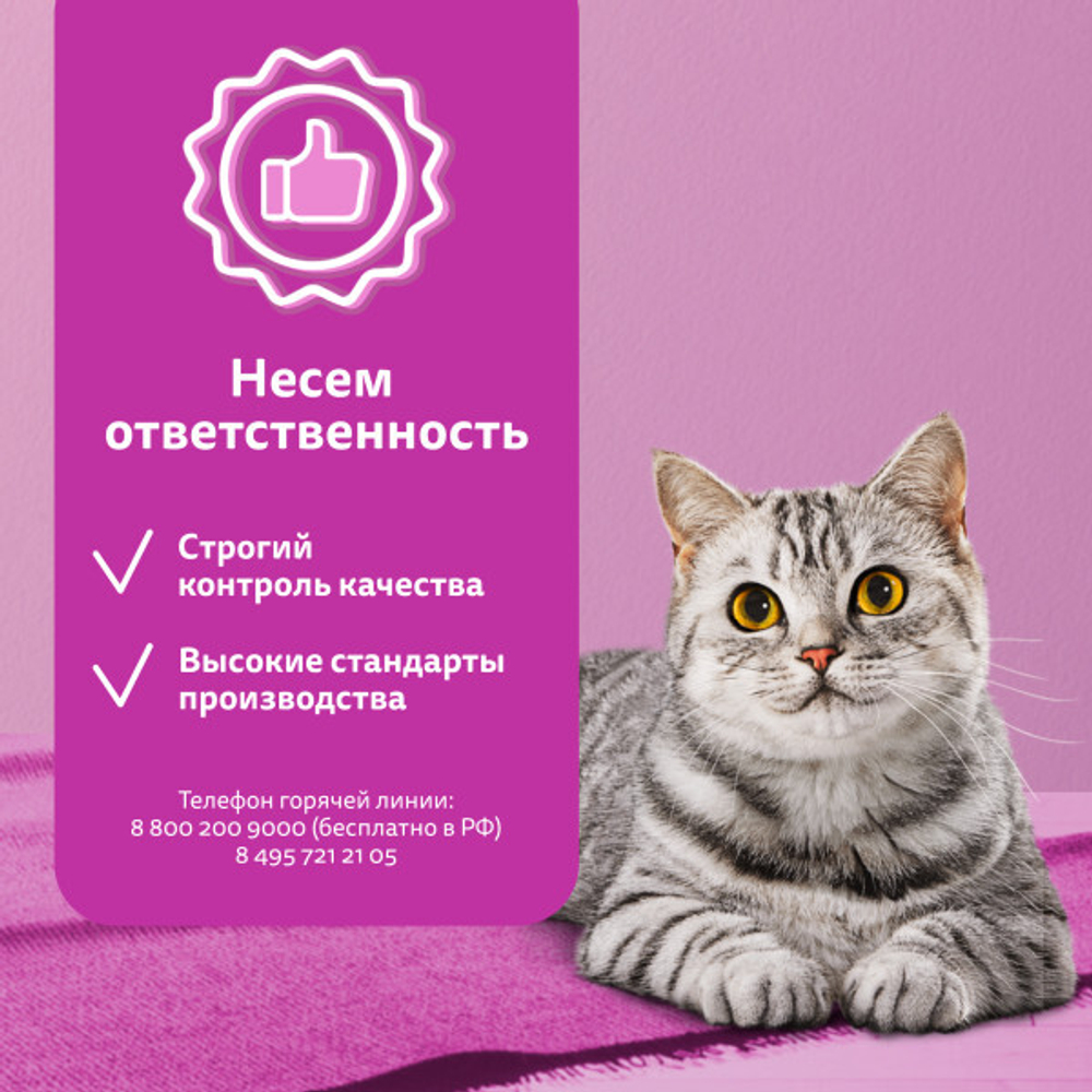 Желе с лососем, 75г корм для кошек влажный Whiskas