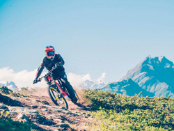 Электровелосипед Haibike XDURO Dwnhll 9.0