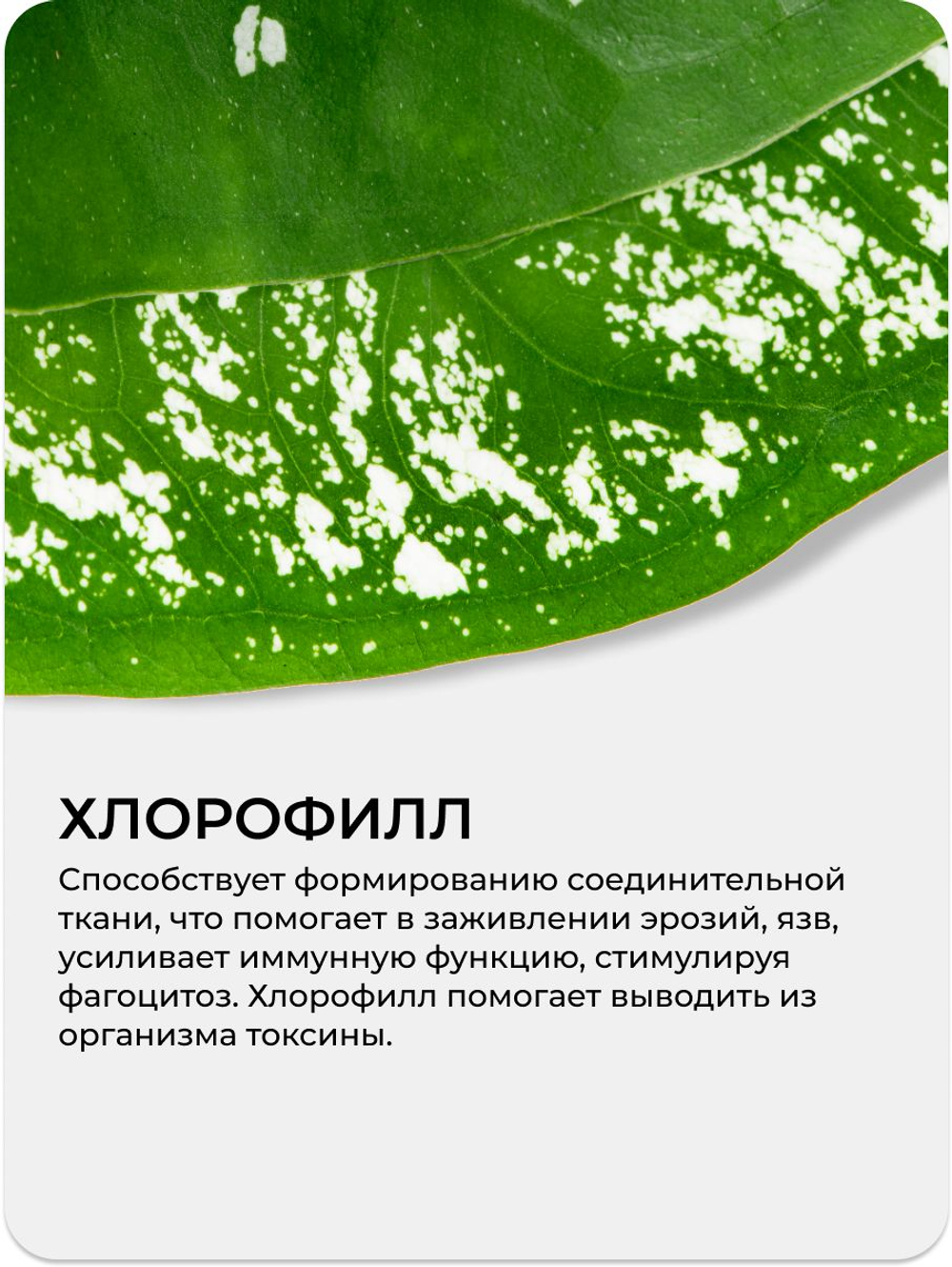 Розмариновая кислота 60 капсул / Натуральный дегликант и антиоксидант