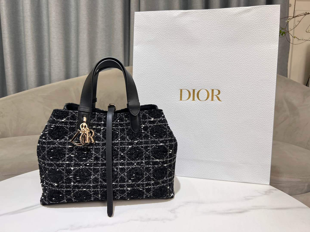 Christian Dior Medium Toujours Bag 28 cm