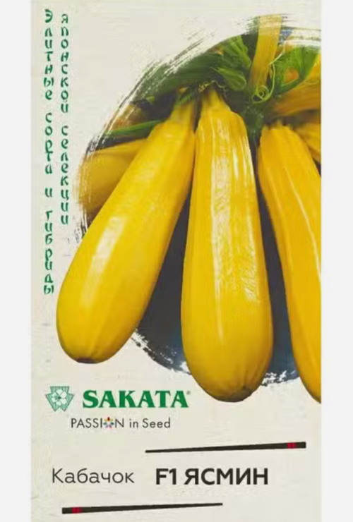 Кабачок Ясмин 5 шт СМКАБ-07