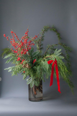 Микс хвои с илексом M