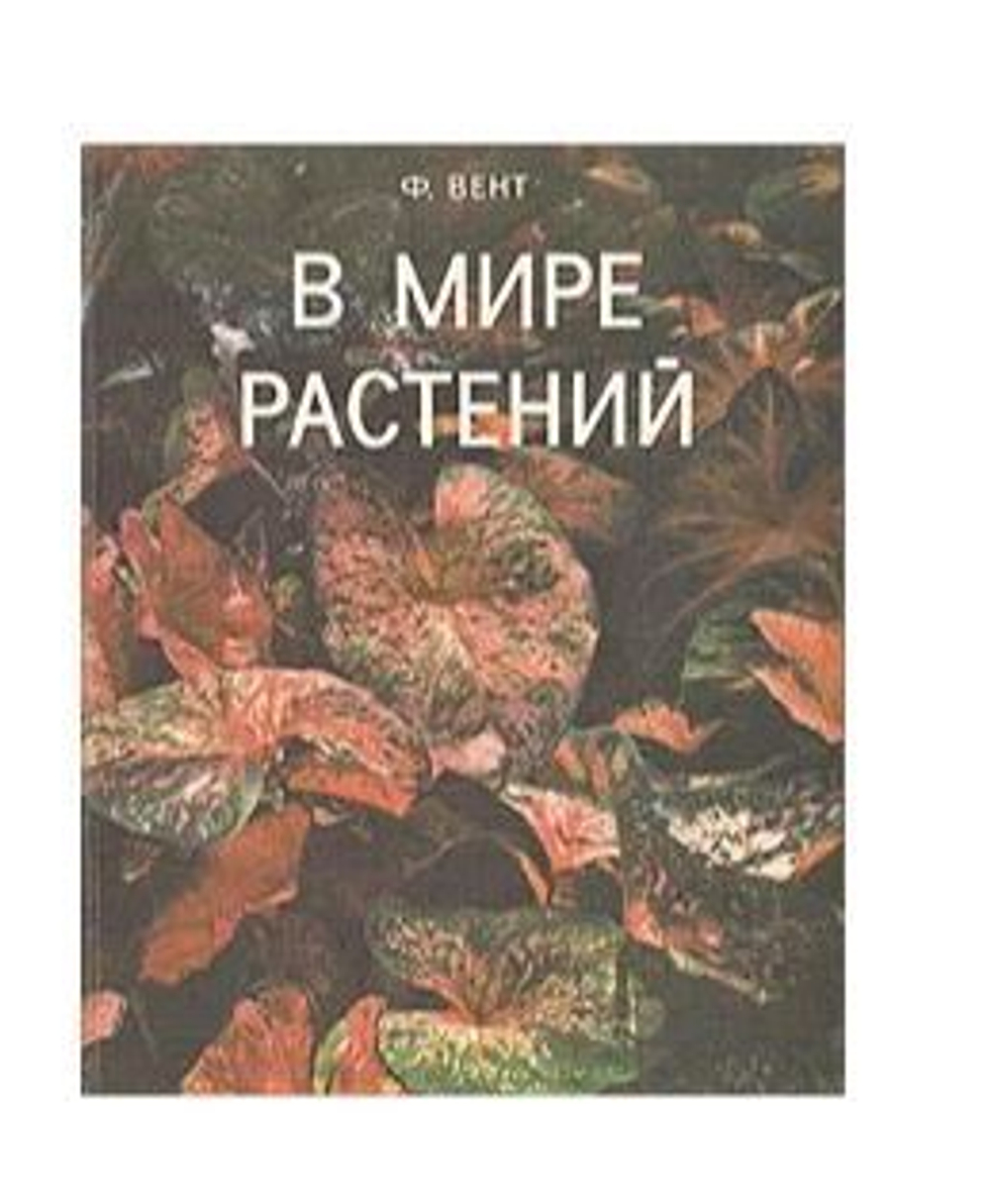 В мире растений