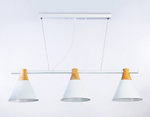 Подвесной светильник Ambrella Light TR TR8196