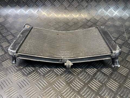 Радиатор Yamaha FZ1 Fazer RN17