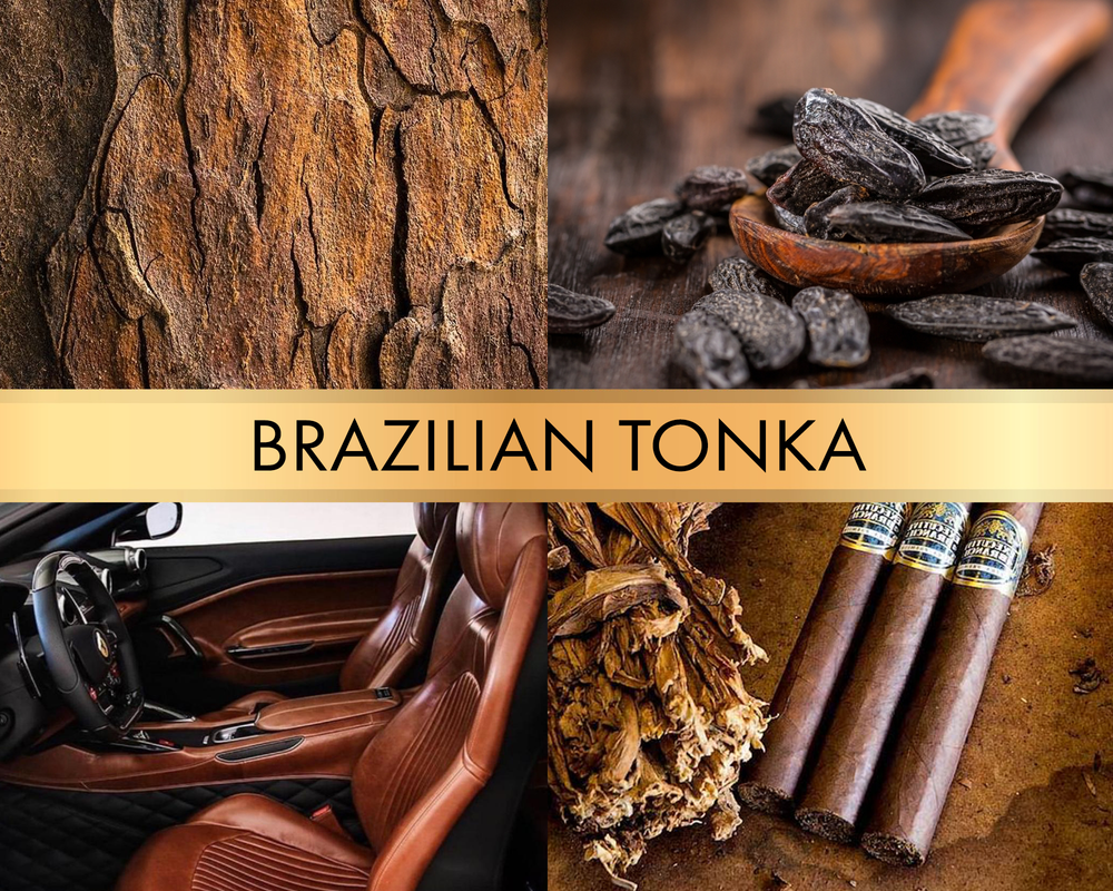 Brazilian tonka (Бобы тонка)