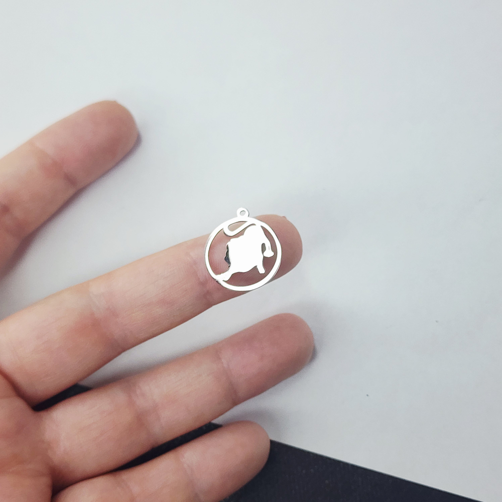 Знаки зодиаков, подвески сталь, р-р 20×17.5мм, штучно