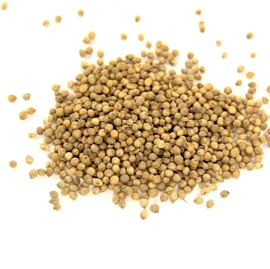 Кориандр (плод)