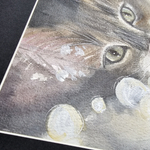 Картина авторская акварельная в паспарту 30х40 см на стену для интерьера "Кисюня"