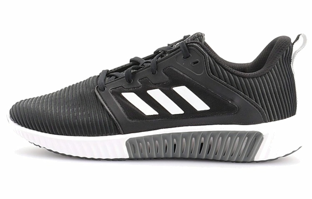 Кроссовки Adidas Climacool Vent