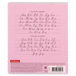 Тетрадь школьная А5 12л линия,ассорти "Классика Visio" (Erich Krause) микс цветов (комплект 5 шт)