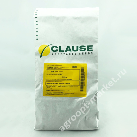 КАМБЕРЛЭНД F1 семена кукурузы (Clause | Alexagro) – фото 2