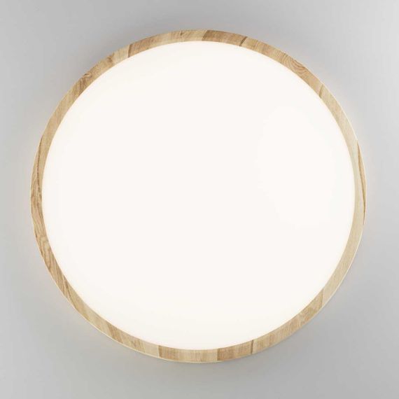 Потолочный светильник Citilux Бейсик Клен CL738322V