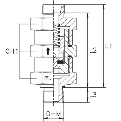 Клапан обратный с наружной резьбой DL18 BSP 1/2 впускной (корпус)