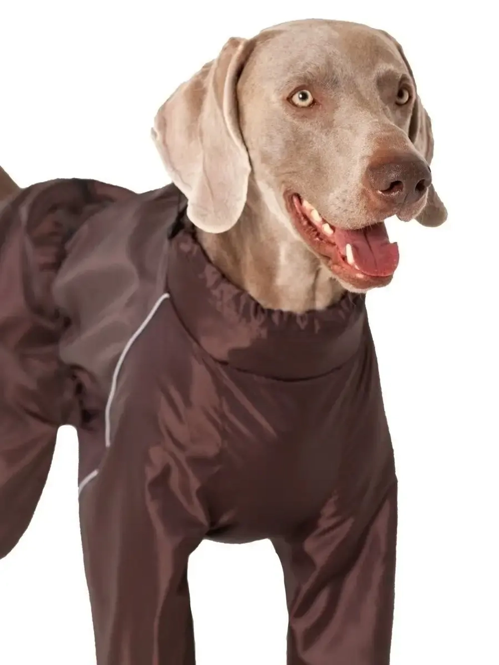 Комбинезон дождевик для собак средних и крупных пород