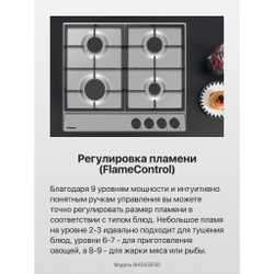 Газовая панель Hansa BHGI650550