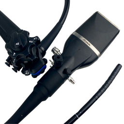 Гибкая эндоскопия