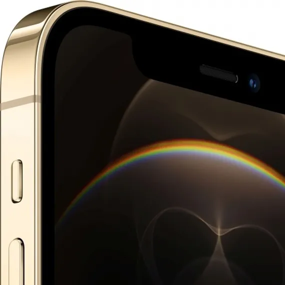 Apple iPhone 12 Pro 256GB Gold (Золотистый)