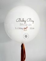 Воздушные шары на выписку для мальчика №8929