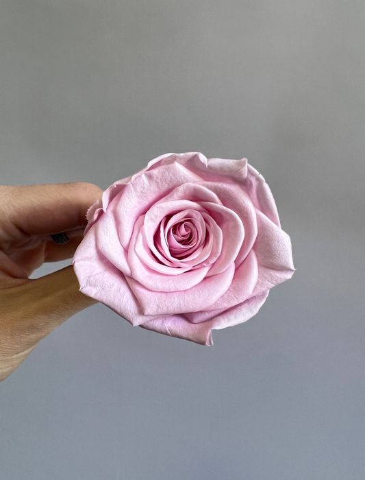 Роза классическая розовая d=4-5 см (упак 8 шт)