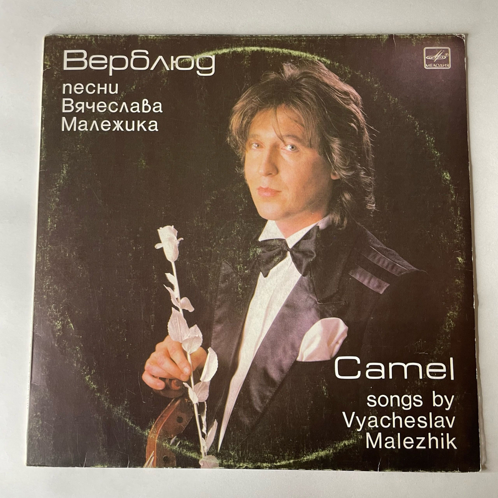 Винтажная виниловая пластинка LP Вячеслав Малежик Верблюд (СССР 1988)