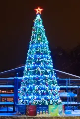 Комплект освещения Пояс Ориона для ели Уральская высотой 27 м., 25 ярусов, 1214 ламп, Green Trees (Orion27)