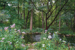 Beyond the Garden: Designing Home Landscapes with Natural Systems