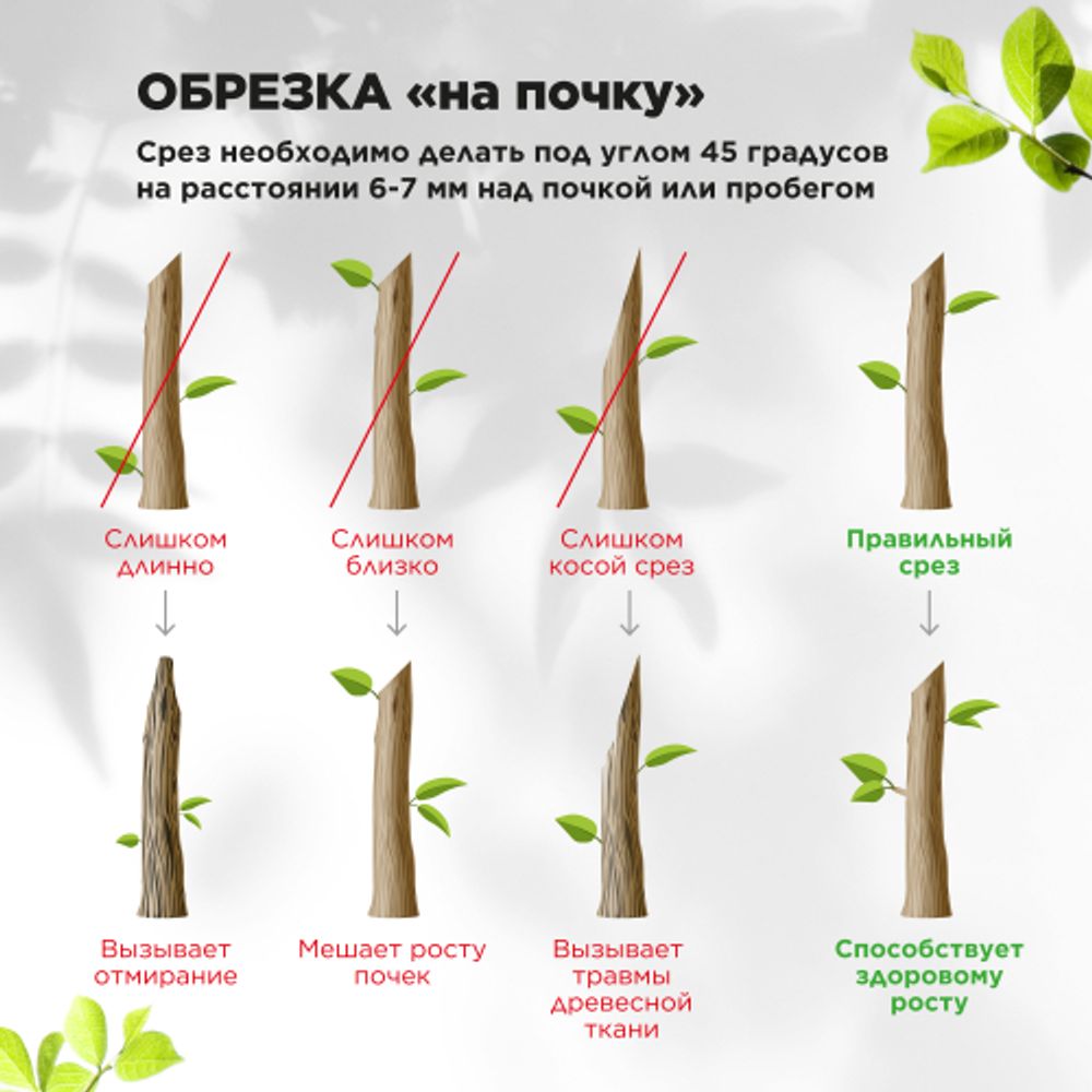 GAECO01-72 GREEN APPLE Дача Cекатор контактный c храповым механизмом | GREEN APPLE