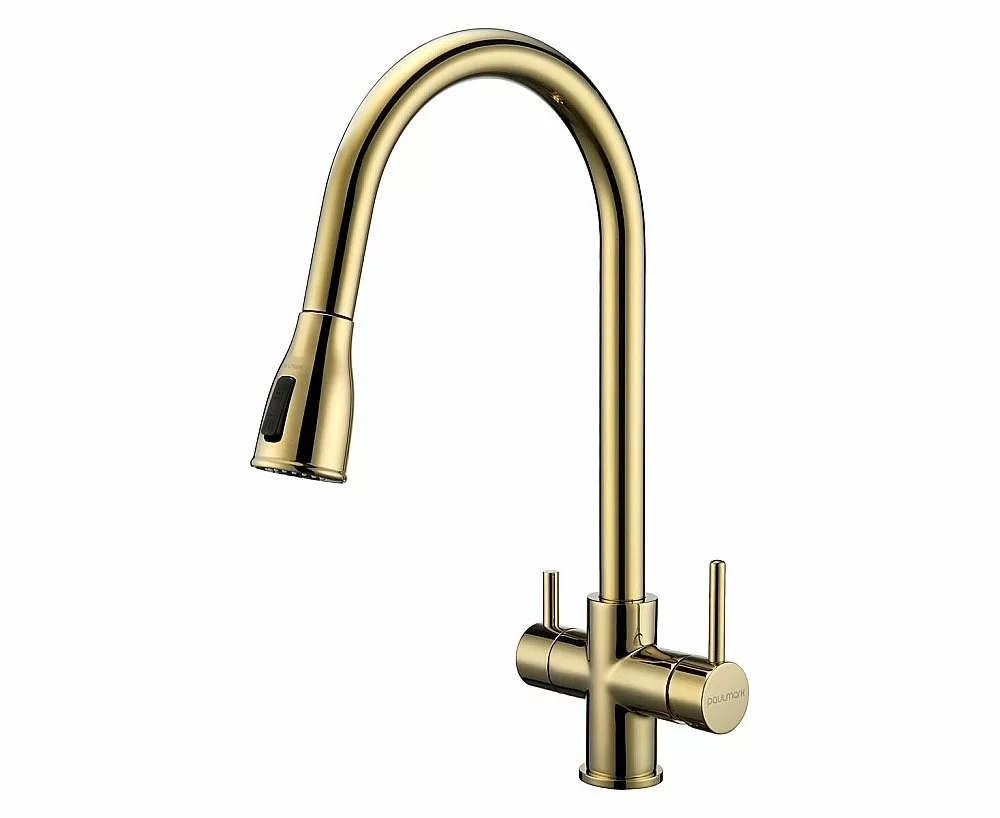 Смеситель для кухни Paulmark Lange La214212-G золото