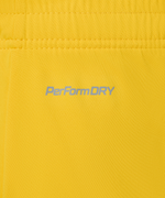 Шорты вратарские JOGEL PREMIER PerFormDRY GK Shorts Yellow, желтый