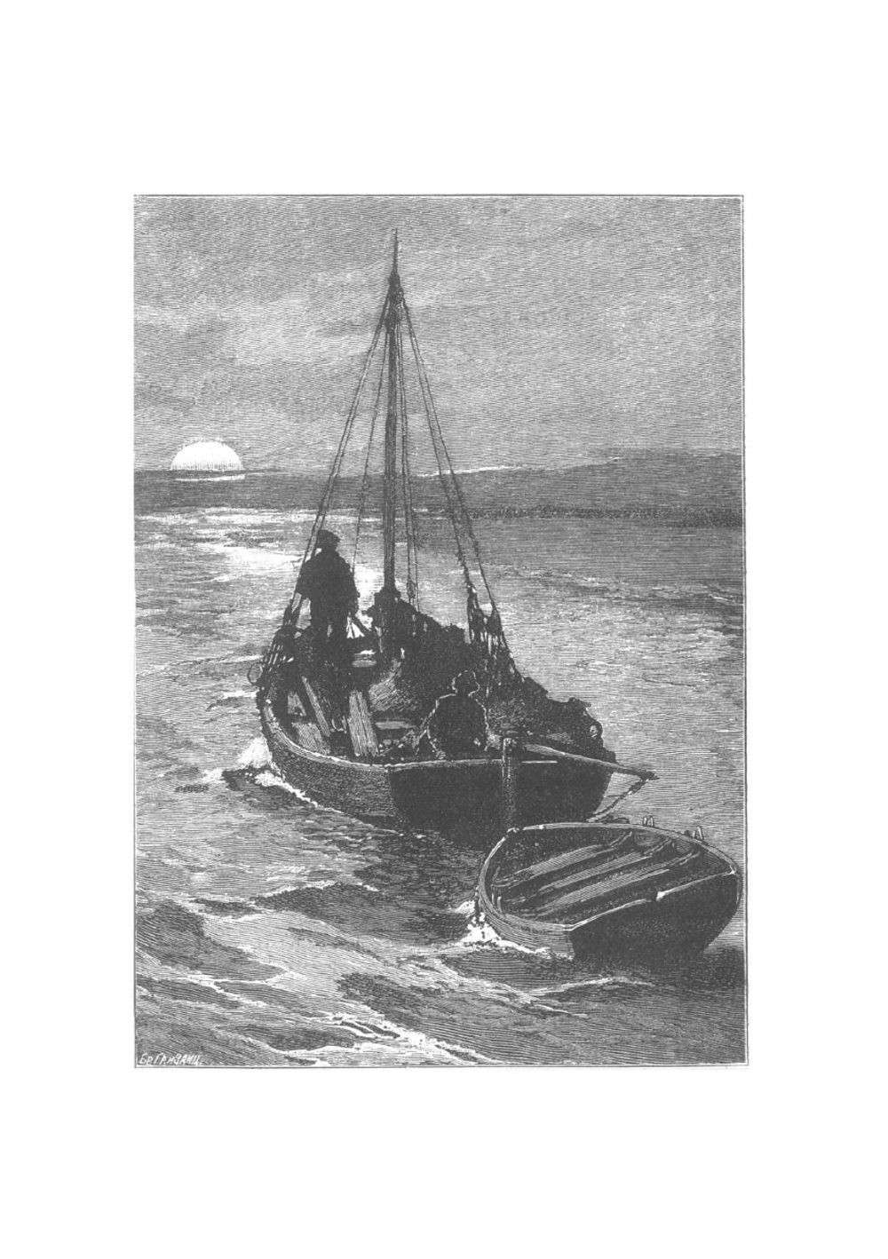 Лопь белоглазая | В.И. Немирович-Данченко