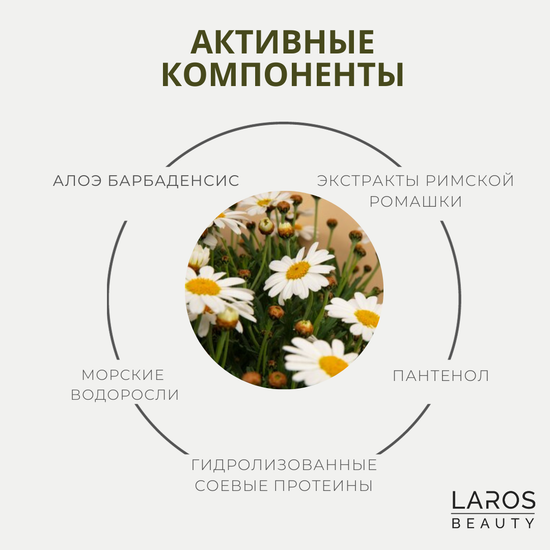 LAROS BEAUTY Увлажняющий шампунь 11PM Hydrate Shampoo