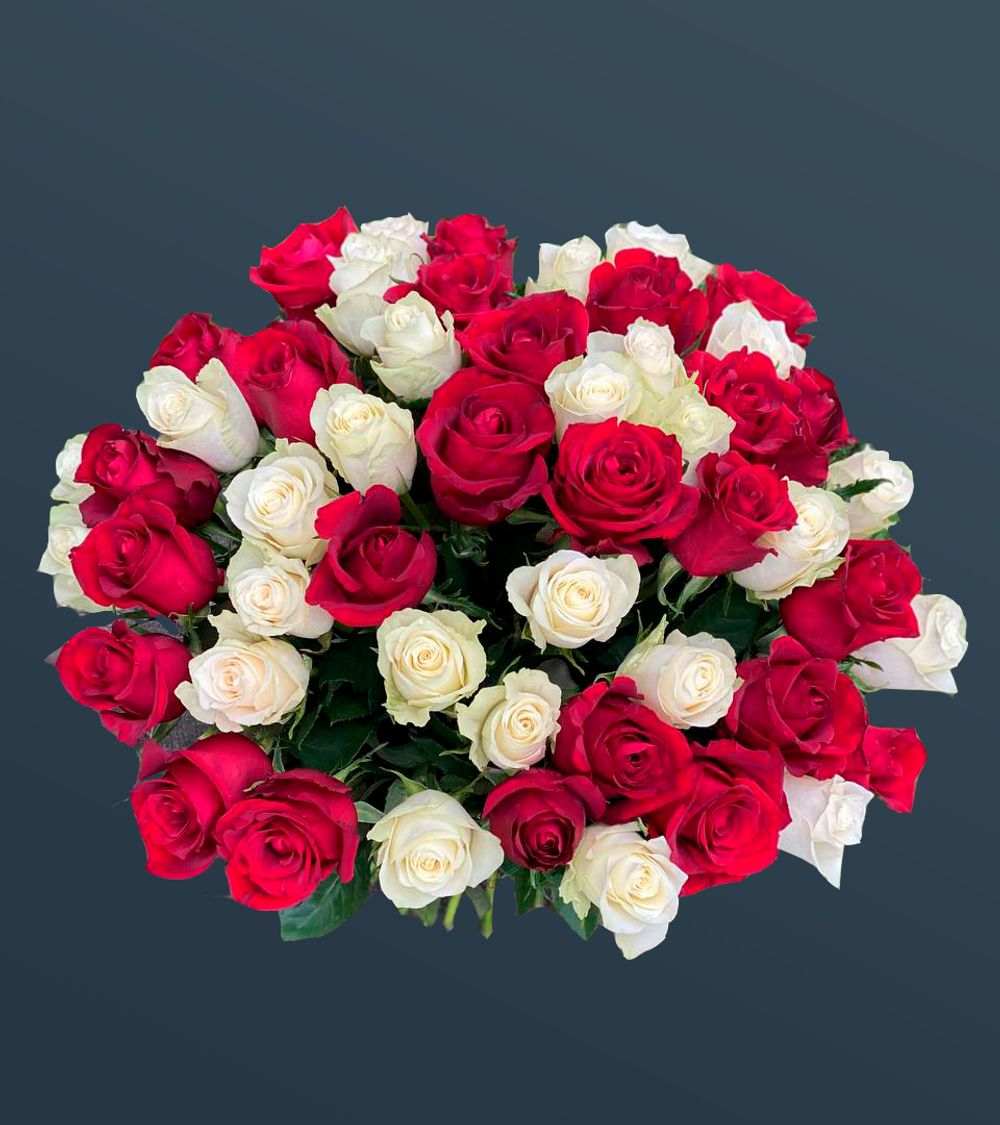 Розы 51 шт