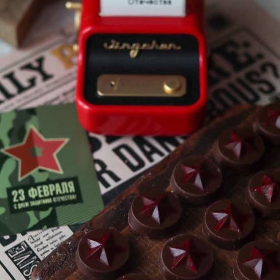 137 | Форма для шоколадных изделий &quot;Звездочка&quot; (275*135 мм)