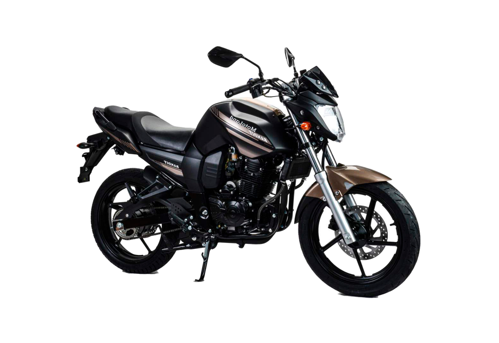 Мотоцикл Motoland 300 BANDIT