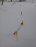 Удочка-поставушка зимняя самоподсекающая.