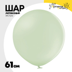 Шар латексный Экстра Пастель 61 см (Зеленый)