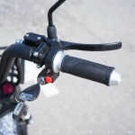 EcoMoto Lion Off-Road E1200W Back Edition