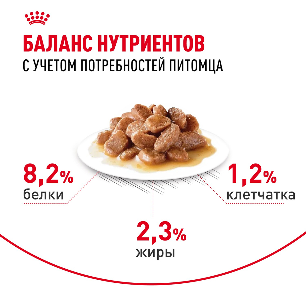 Royal Canin Appetite Control Care Корм консервированный для взрослых кошек соус 85 г