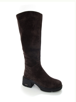 Сапоги женские зимние CARDICIANA BA1511-4